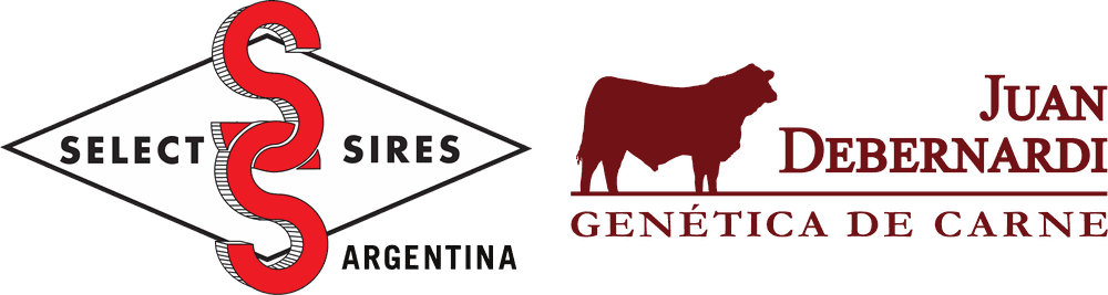 Select Sires Argentina · Juan Debernardi, genética de carne